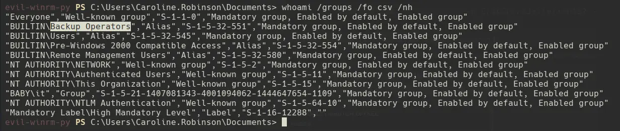 whoami /groups output confirming Backup Operators membership