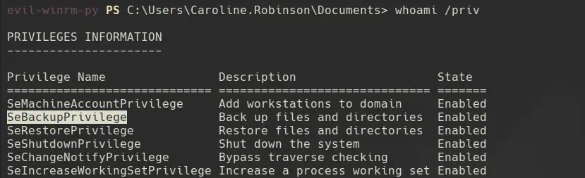 User privileges showing SeBackupPrivilege is enabled